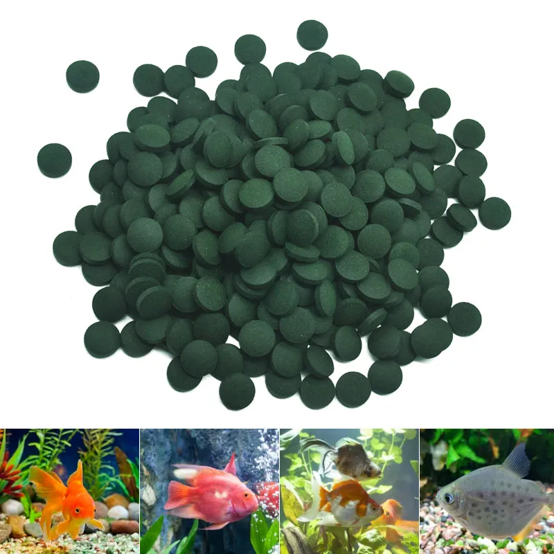 Aquarium Fish Vitamin - 100/500pcs Spirulina Tablets Enrichment Favorite Pet