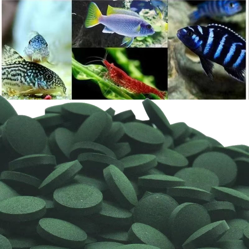 Aquarium Fish Vitamin - 50/100/300/500pcs Spirulina Tablets Spiral Seaweed Concentrate