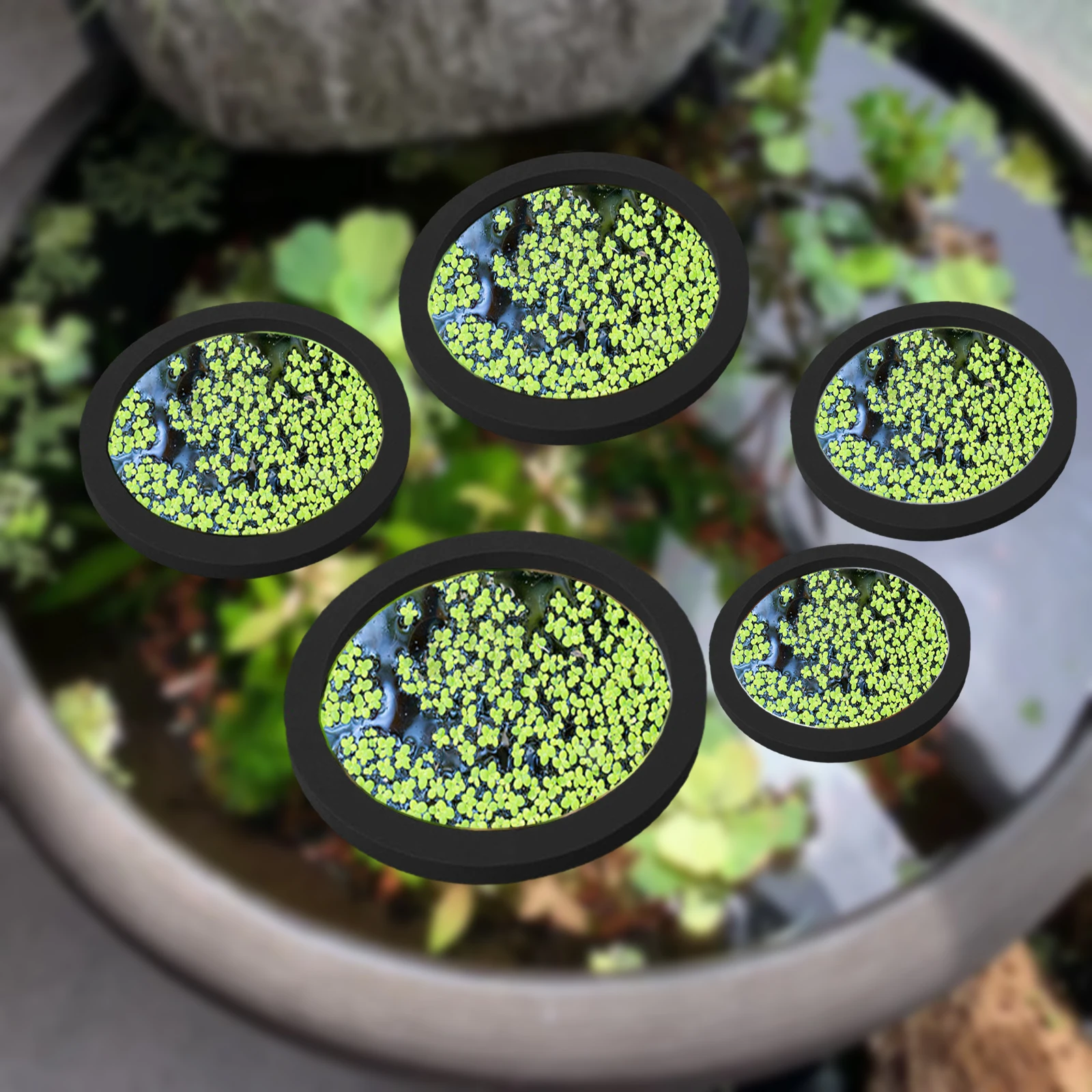 Aquarium Fish Real - 5Pcs EVA Fish Feeding Ring Aquarium