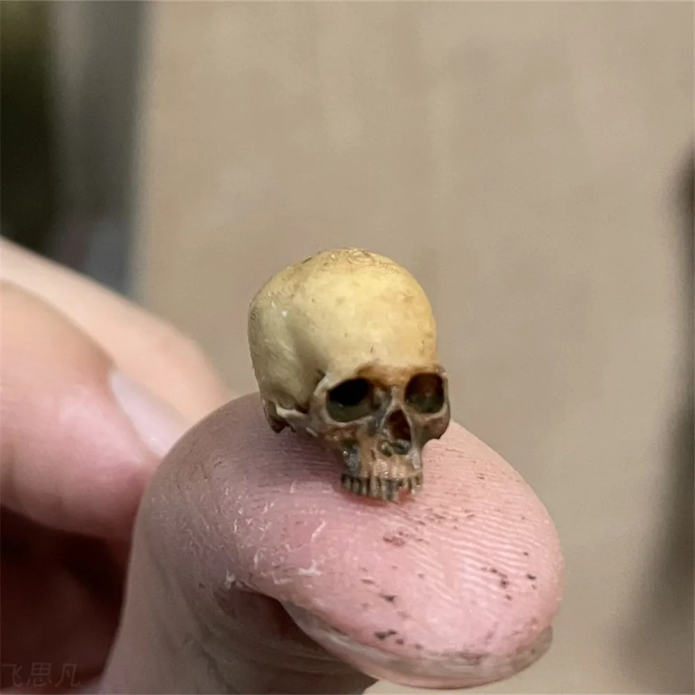 Aquarium Fish Guppy - Mini Skull High Quality Miniature Model