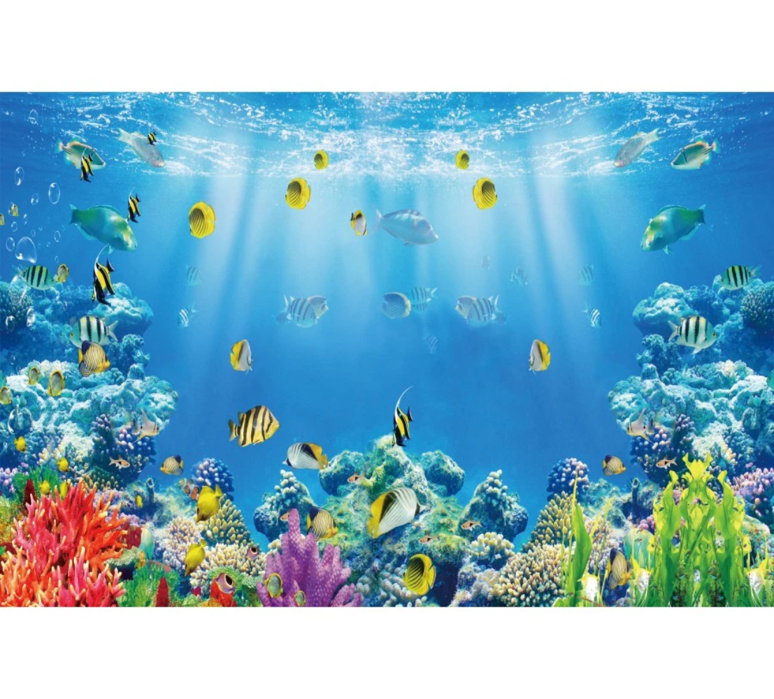 Underwater World Fish Coral Aq - огляд і ціна Aquarium Fish Of The World