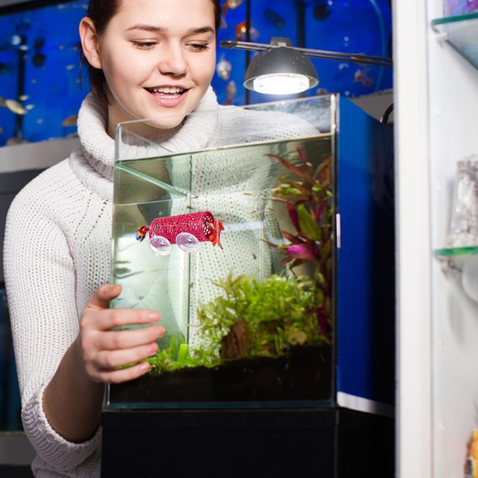Betta Habitat Resting Shelter  - огляд і ціна Fish Toy In Aquarium