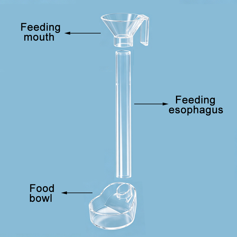 Acrylic Aquarium Fish Feeder T - огляд і ціна Aquarium Fish Big