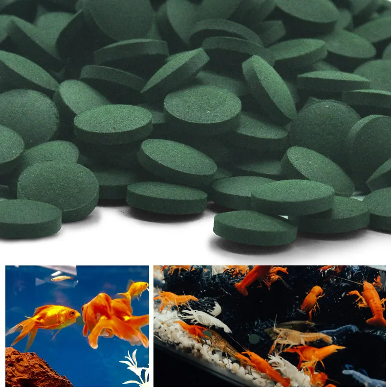 100/500pcs Spirulina Tablets E - огляд і ціна Aquarium Fish Vitamin