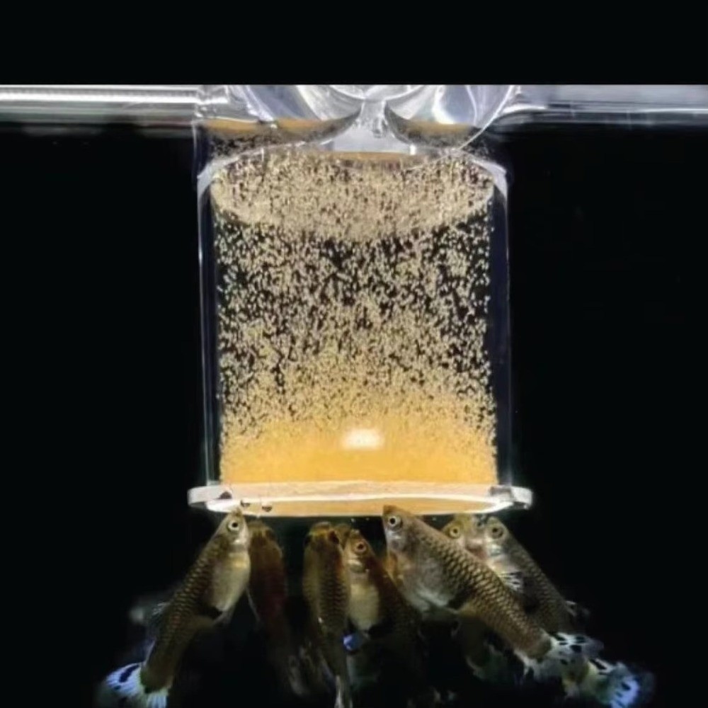 Acrylic Brine Shrimp Feeder Fi - огляд і ціна Aquarium Fish Vitamin