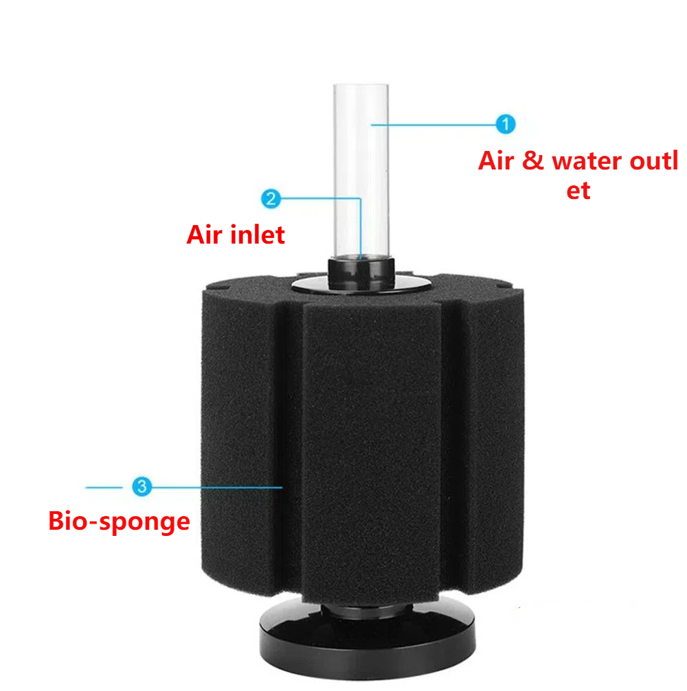 Aquarium Filter Sponge For Fis - огляд і ціна Aquarium Fish Images