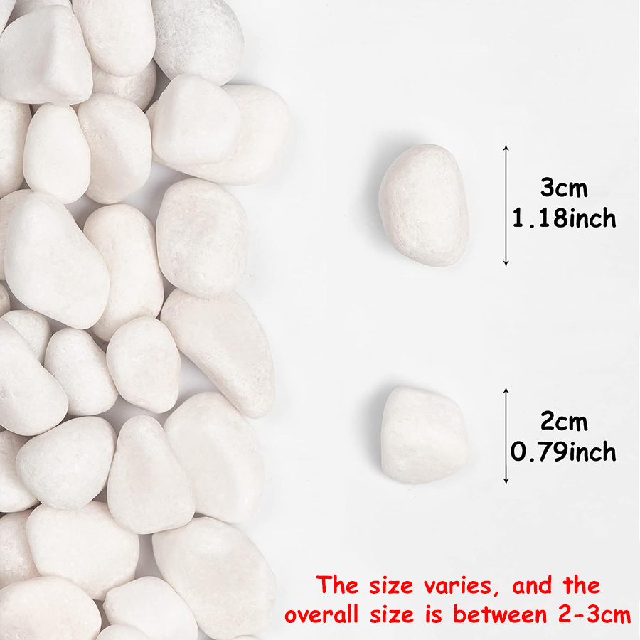 200/400g White High Polished N - огляд і ціна Aquarium Fish Fishing