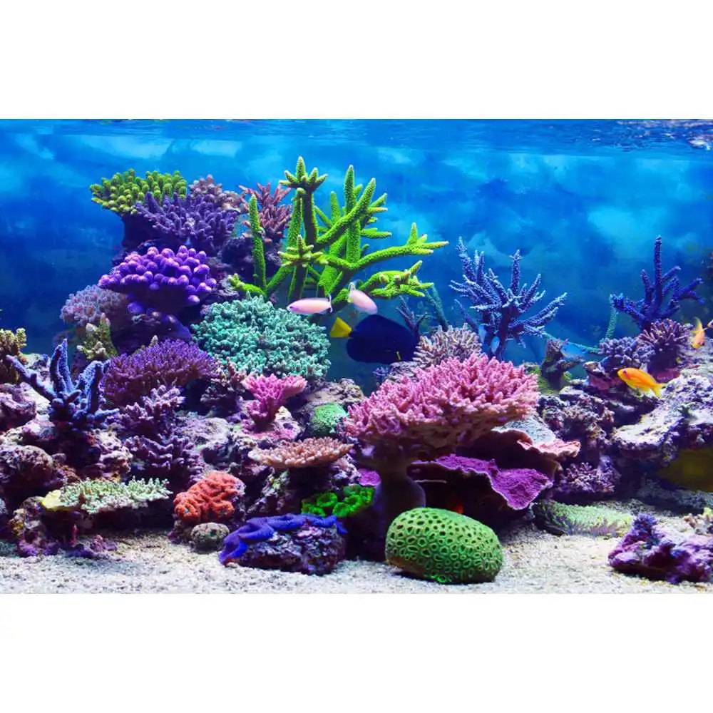 Underwater World Seabed Backdr - огляд і ціна Aquarium Fish Of The World