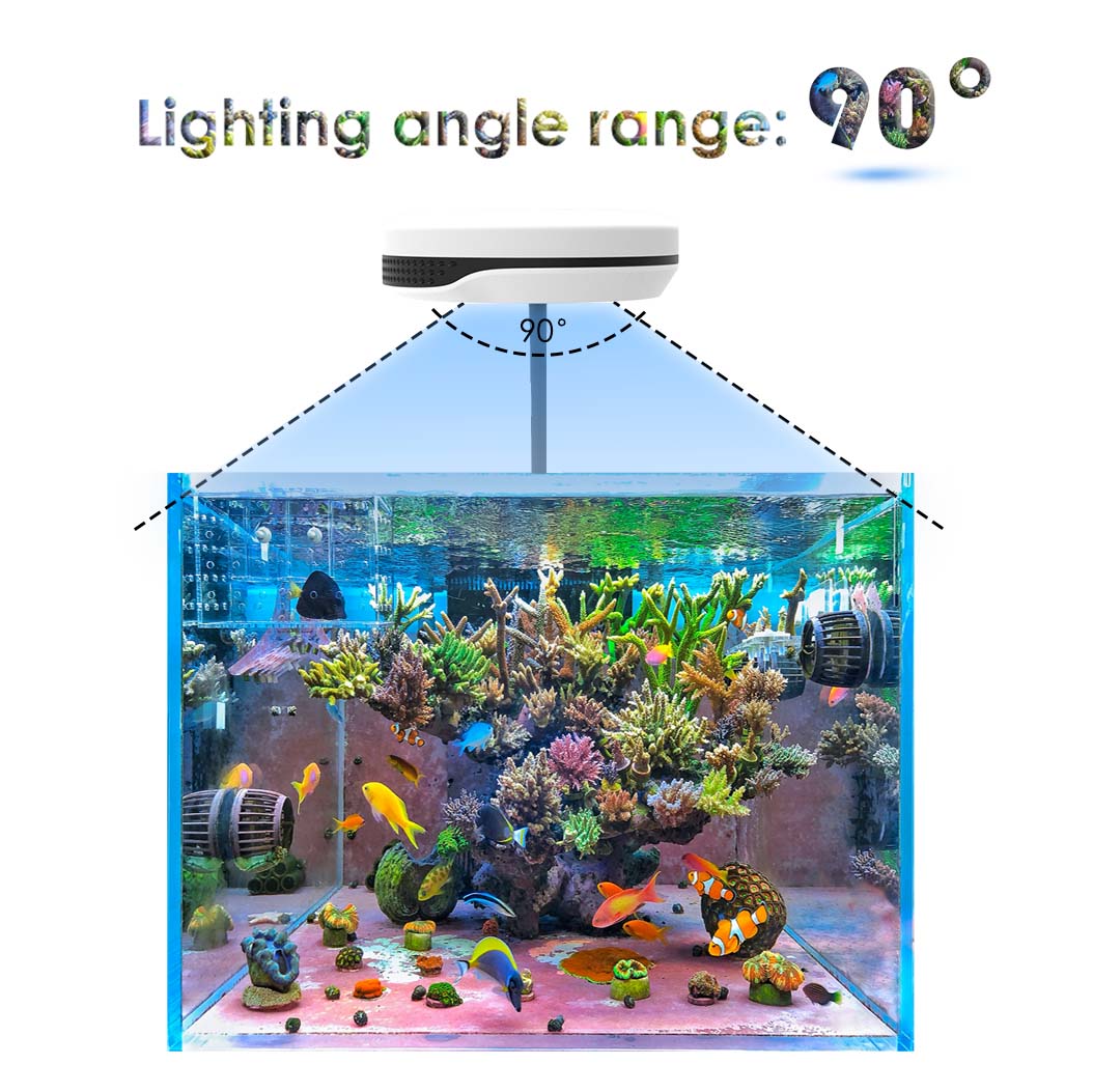 20W Spectra SP20 Ac110-240V Fr - огляд і ціна Refugium Light Nano