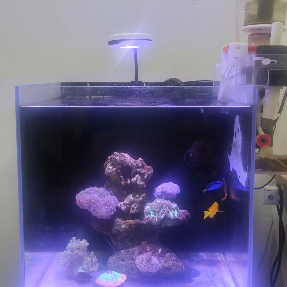 20W Spectra SP20 Ac110-240V Fr - огляд і ціна Refugium Light Nano