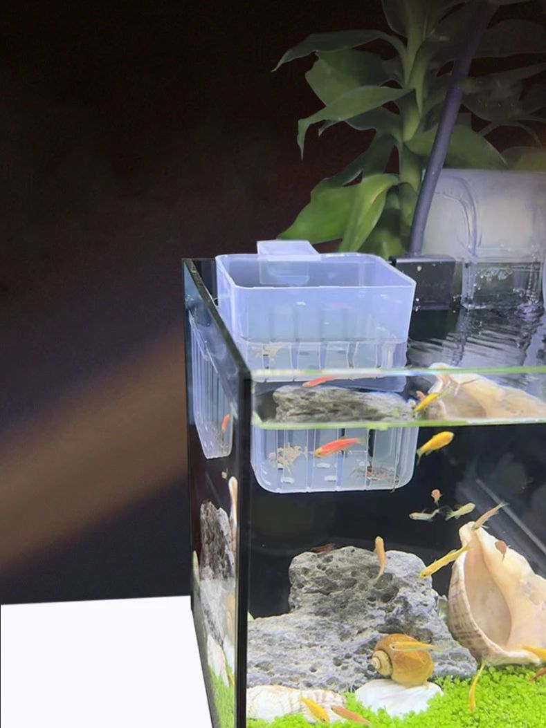 Aquarium Transparent Hydroponi - огляд і ціна Aquarium Fish Big
