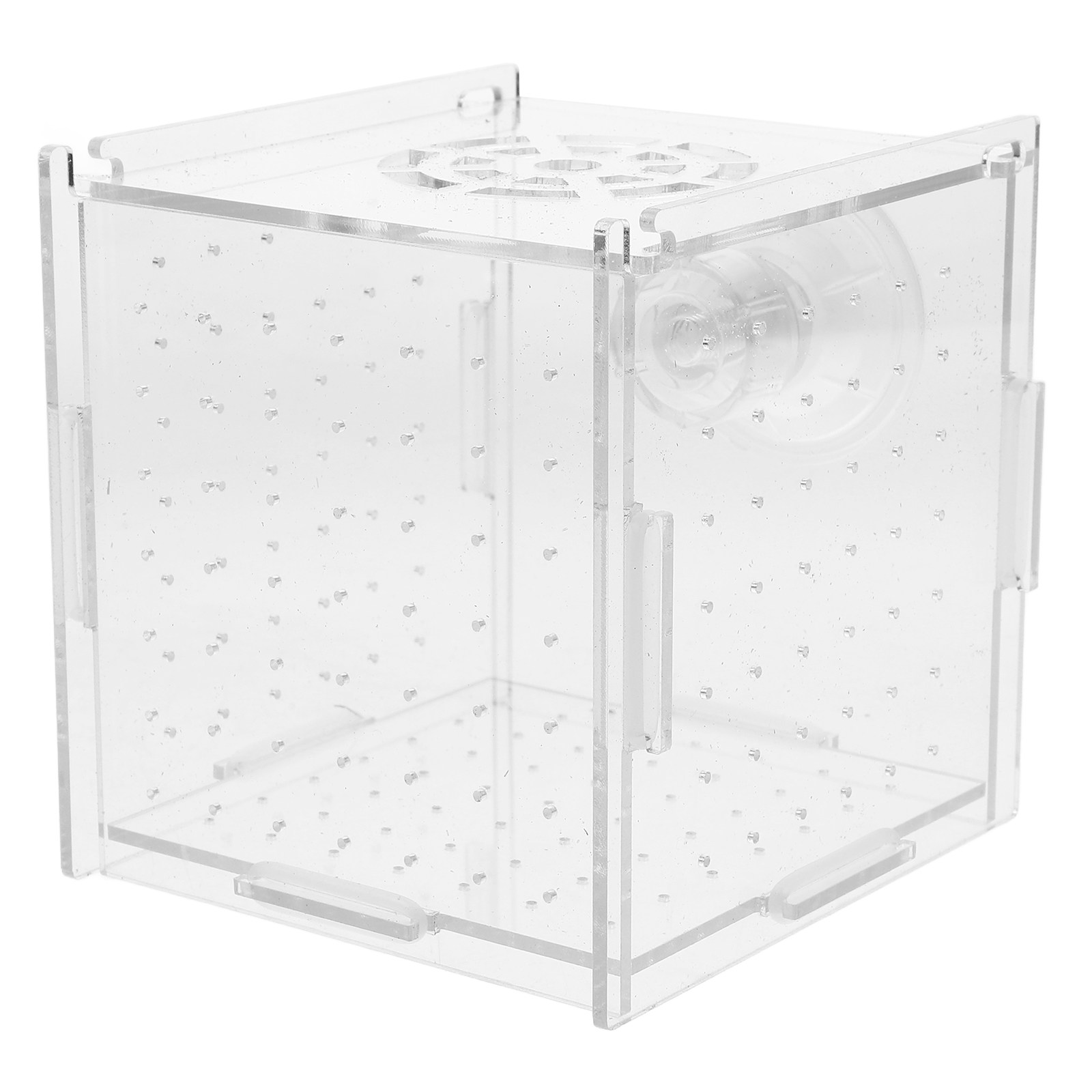 Fish Breeding Isolation Box Cl - огляд і ціна Fish Toy In Aquarium