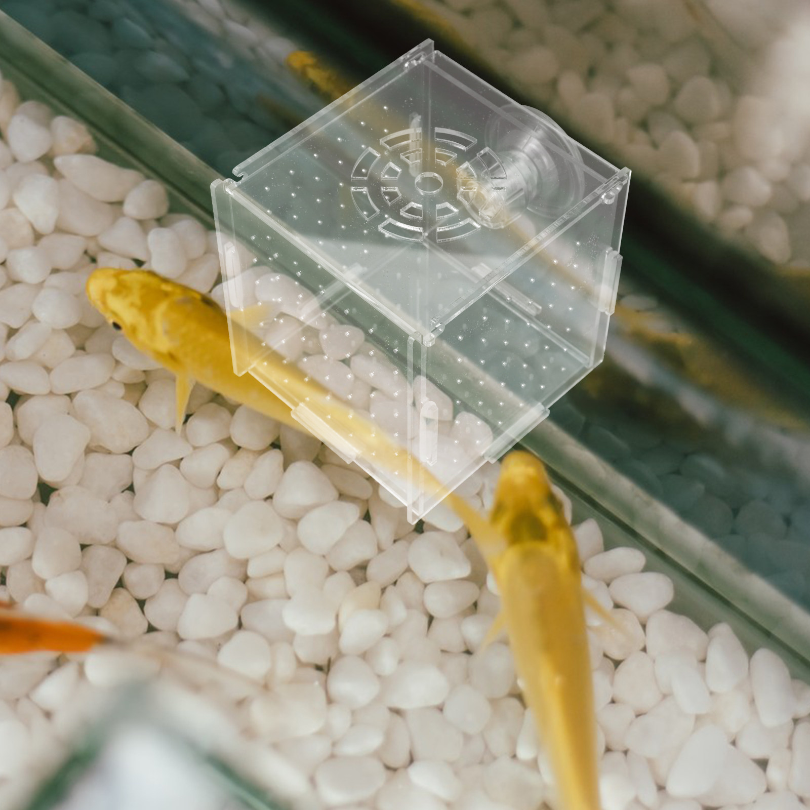 Fish Breeding Isolation Box Cl - огляд і ціна Fish Toy In Aquarium