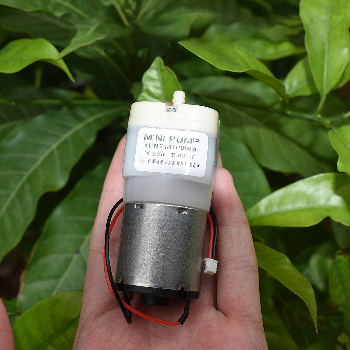 Mini 528 Air Pump DC 3.7V 5V 6 - огляд і ціна Aquarium Fish Big